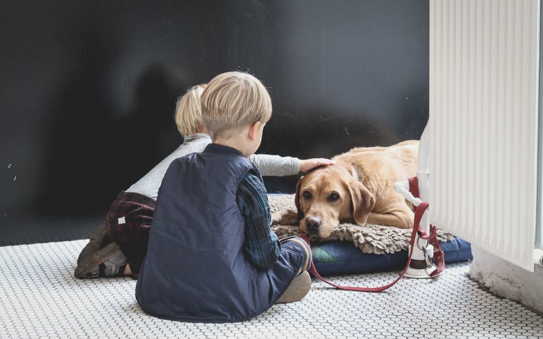 Adjusting Your Dog For Back-to-School